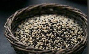 Sesame Seeds - Image 3